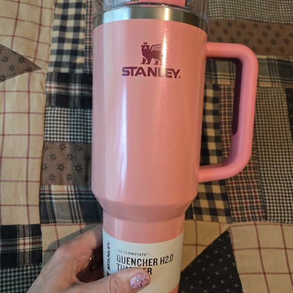 Winterberry Shimmer Stanley - Picture 1 of 6